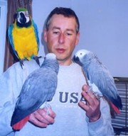 Пара хороших попугаев бесплатно в заботливые дома